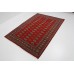 Bukhara Exclusive