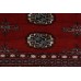Bukhara Exclusive