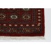 Bukhara Exclusive