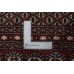 Bukhara Exclusive