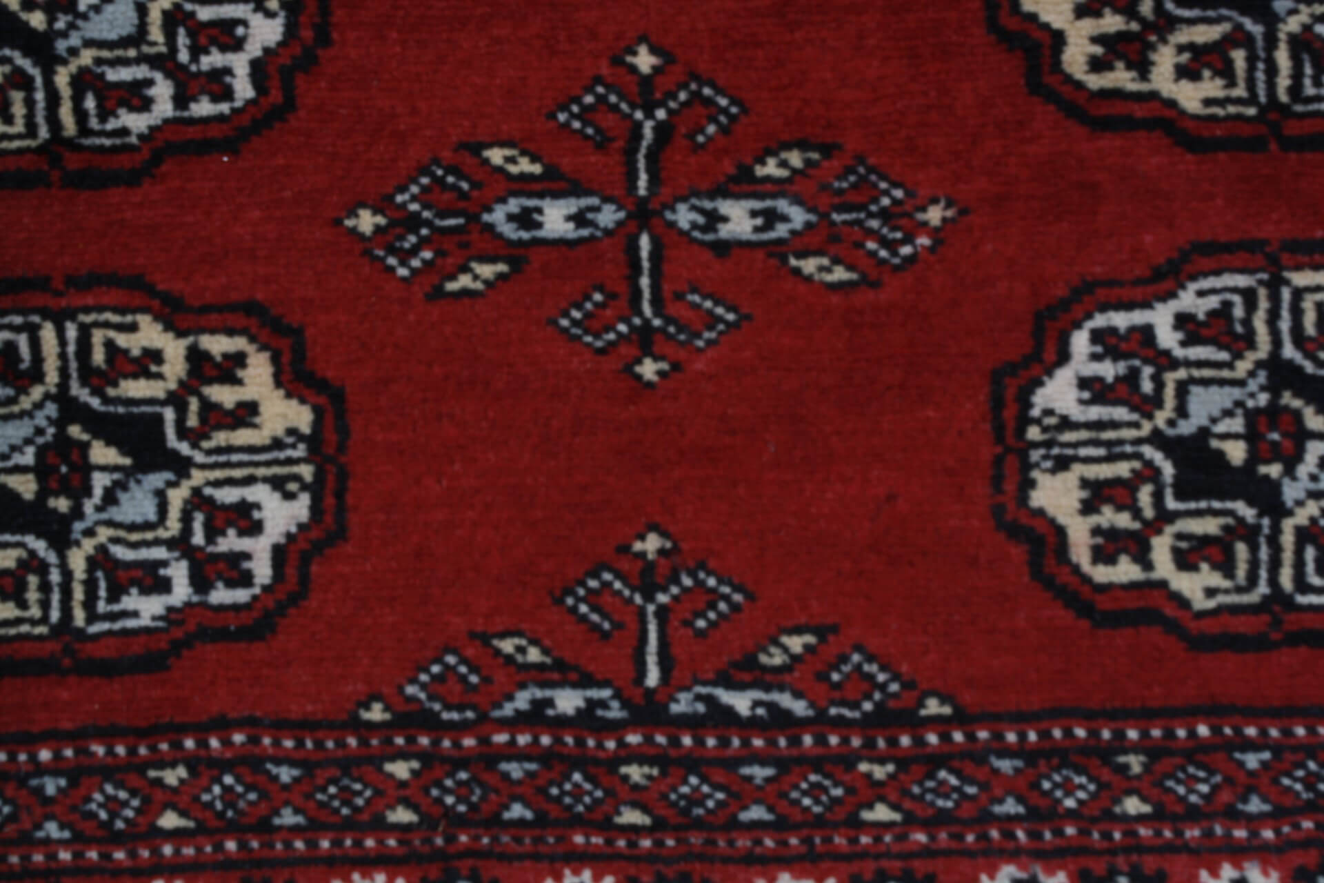 Bukhara Exclusive