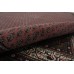 Mir Premium
