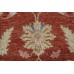 Farahan Exclusive