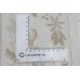 Daliana Exclusive
