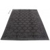 Daliana Exclusive