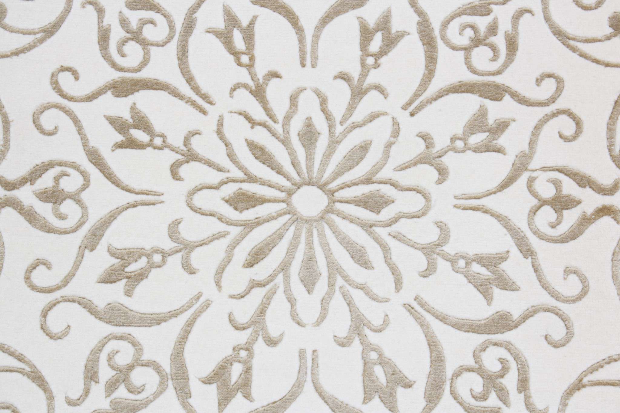 Daliana Exclusive