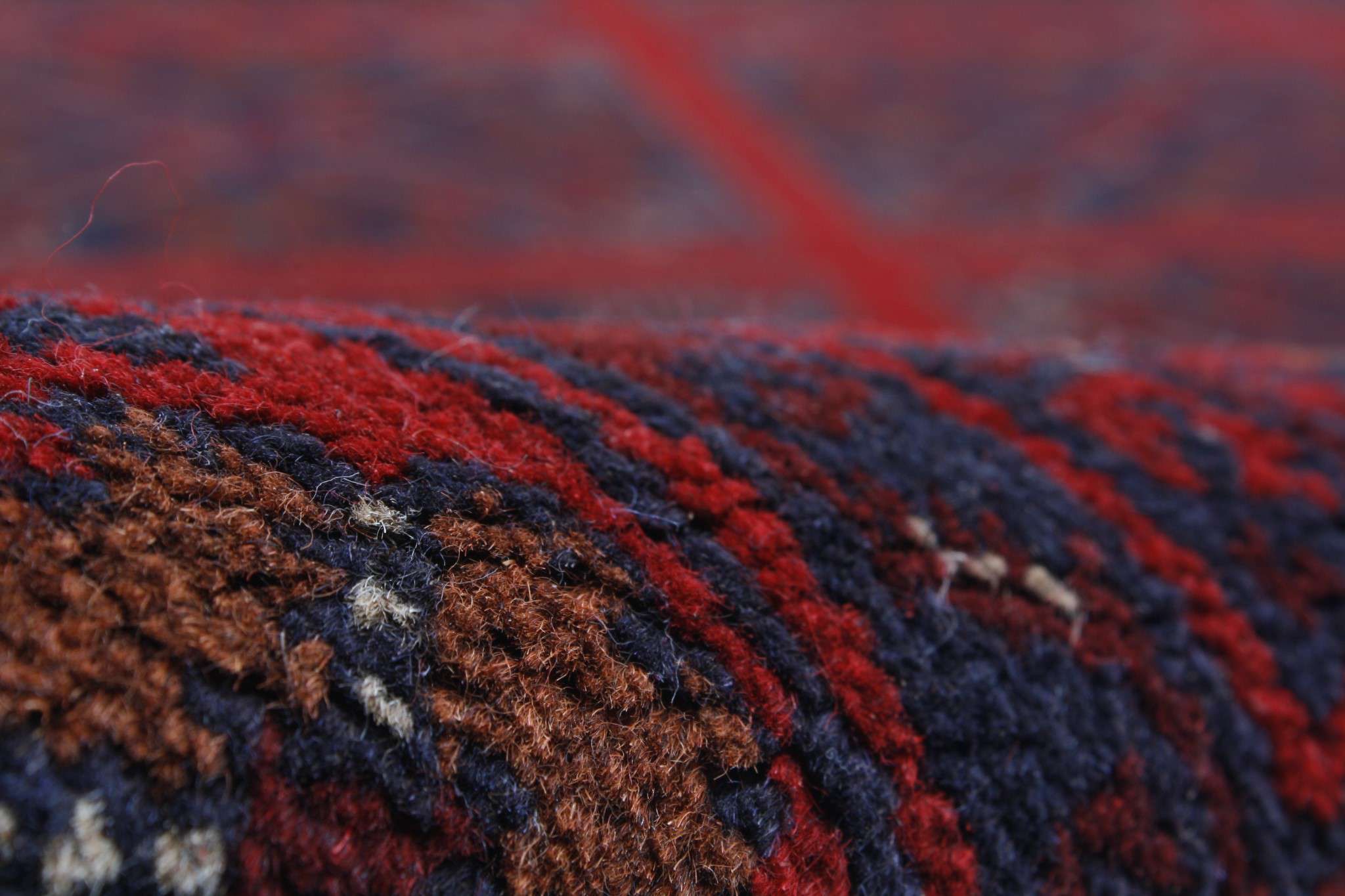 Oriental rug Mauri