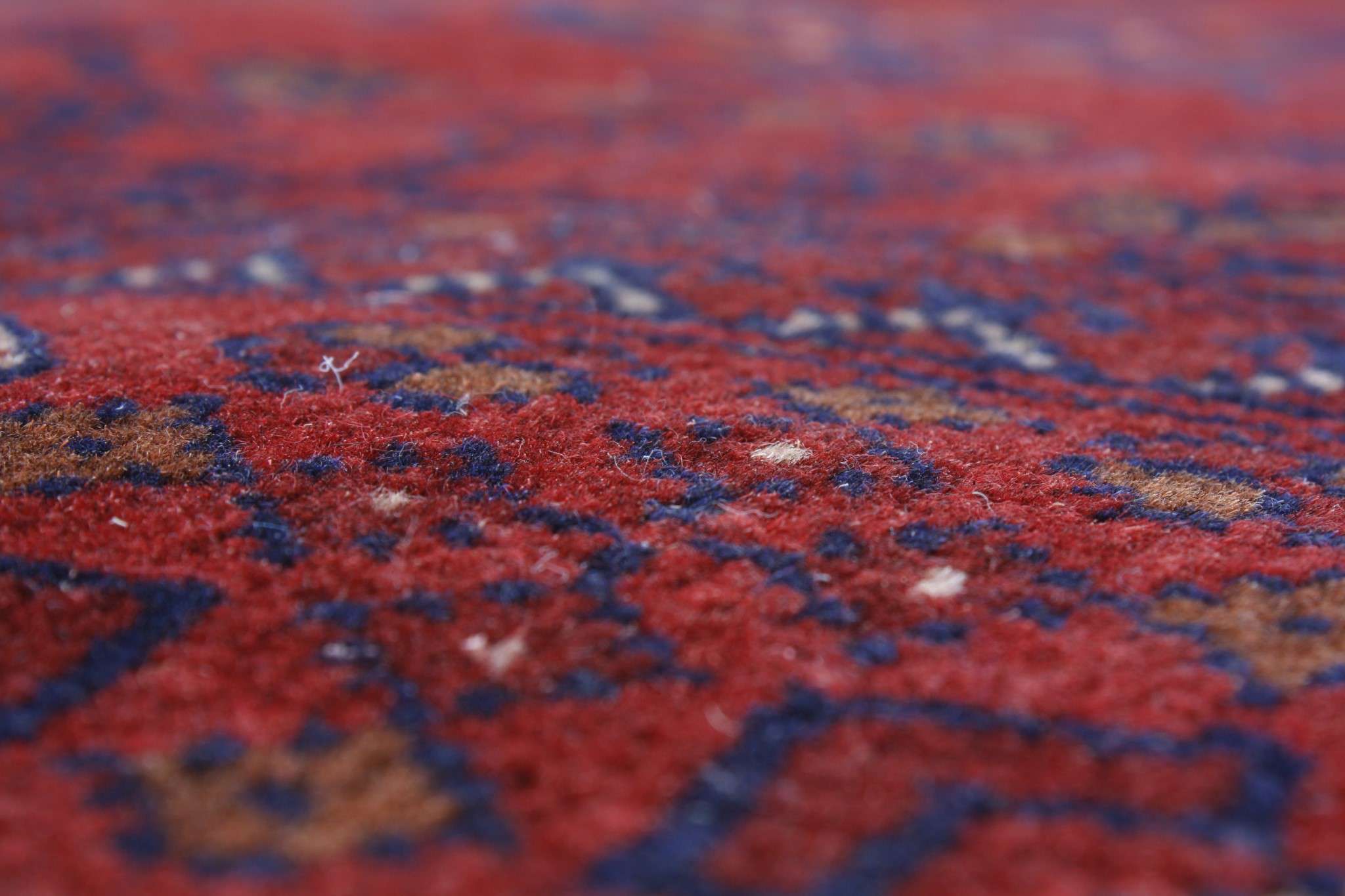 Oriental rug Mauri