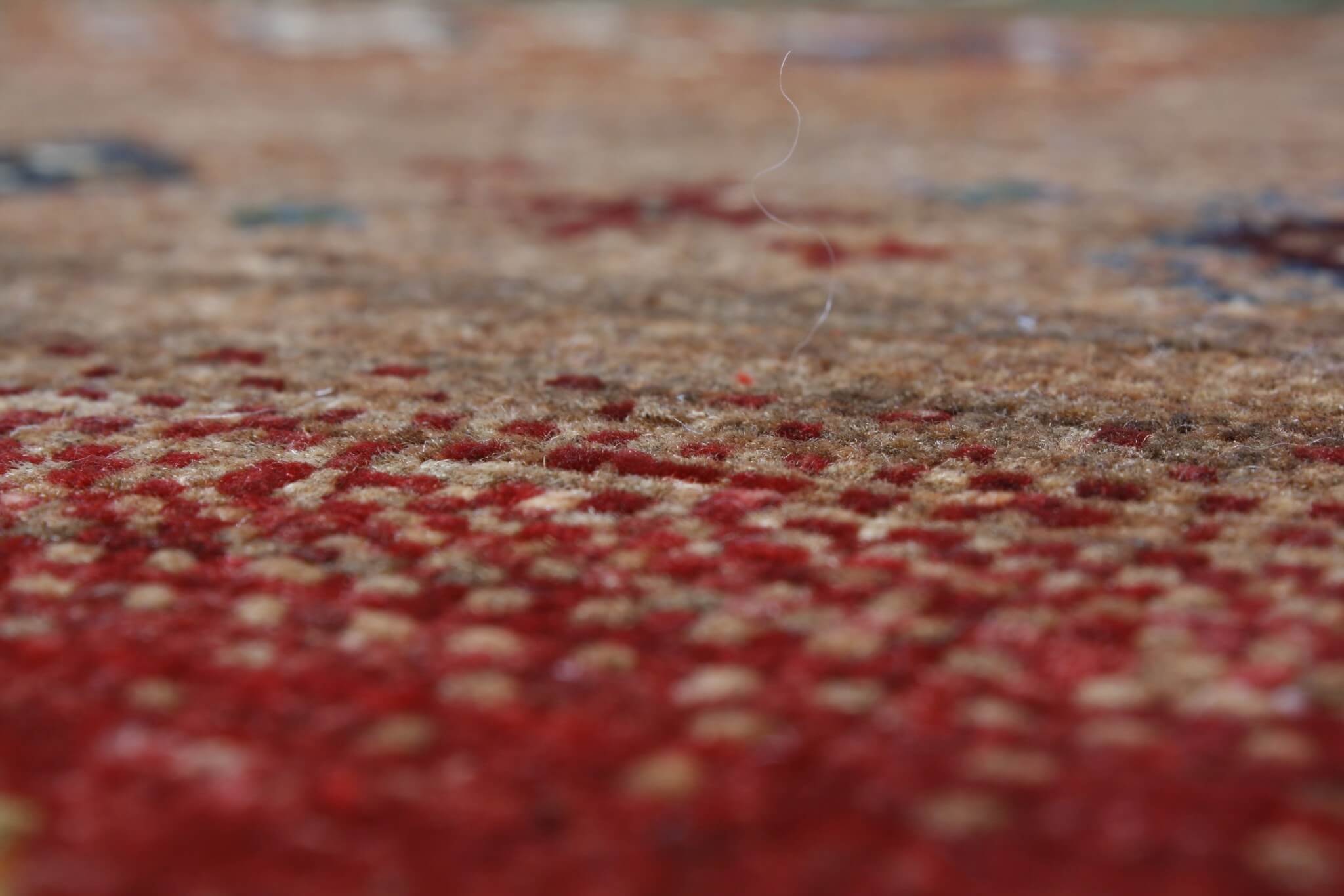 Oriental rug Ariana Exkluziv