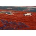 Oriental rug Ariana Exkluziv