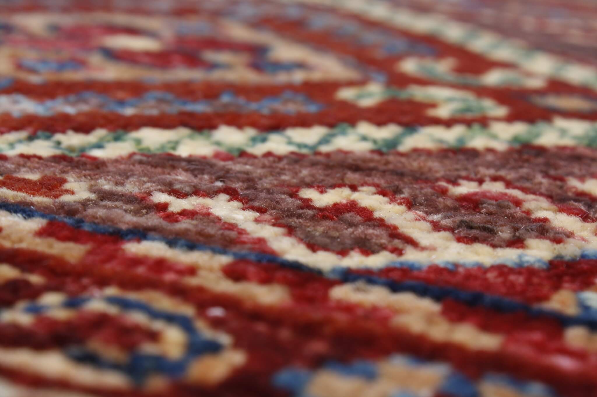 Oriental rug Ariana Exkluziv