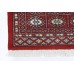 Bukhara Premium