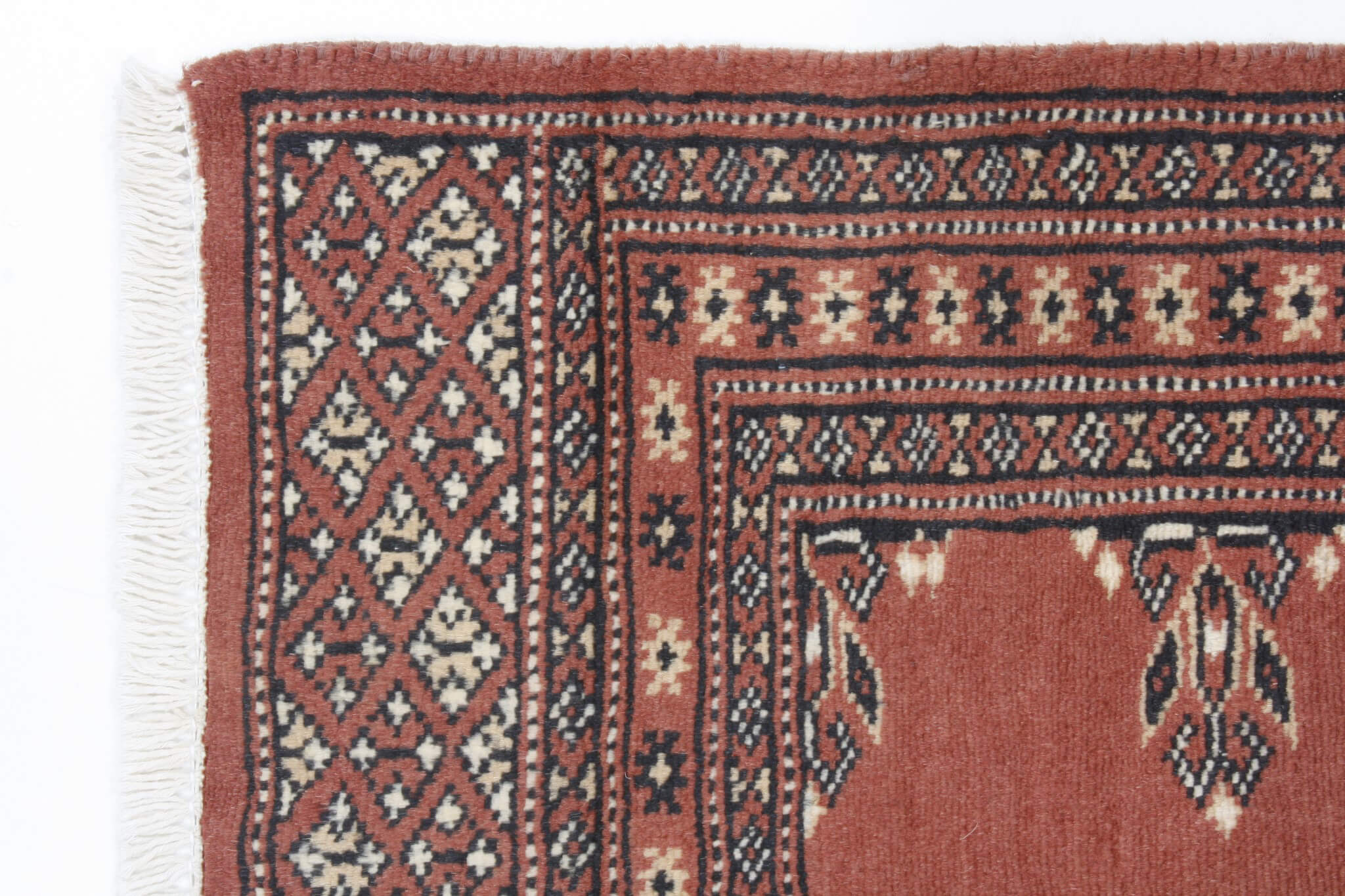 Bukhara Exclusive