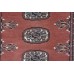Bukhara Exclusive