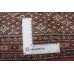 Bukhara Exclusive