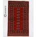 Bukhara Exclusive