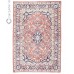 Persian rug Hamadan