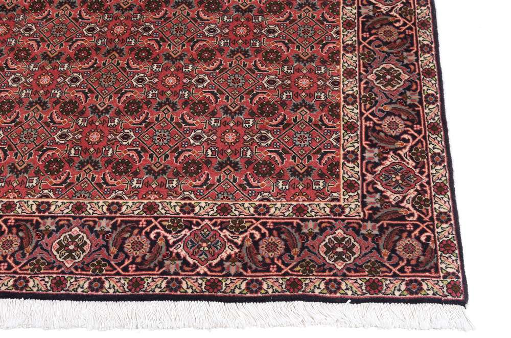 Persian rug Bidjar