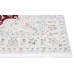 Persian rug Nain