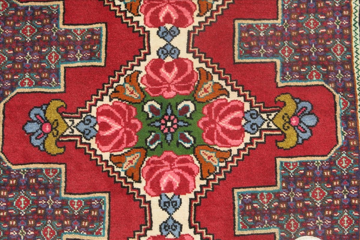 Oriental rug Sanneh
