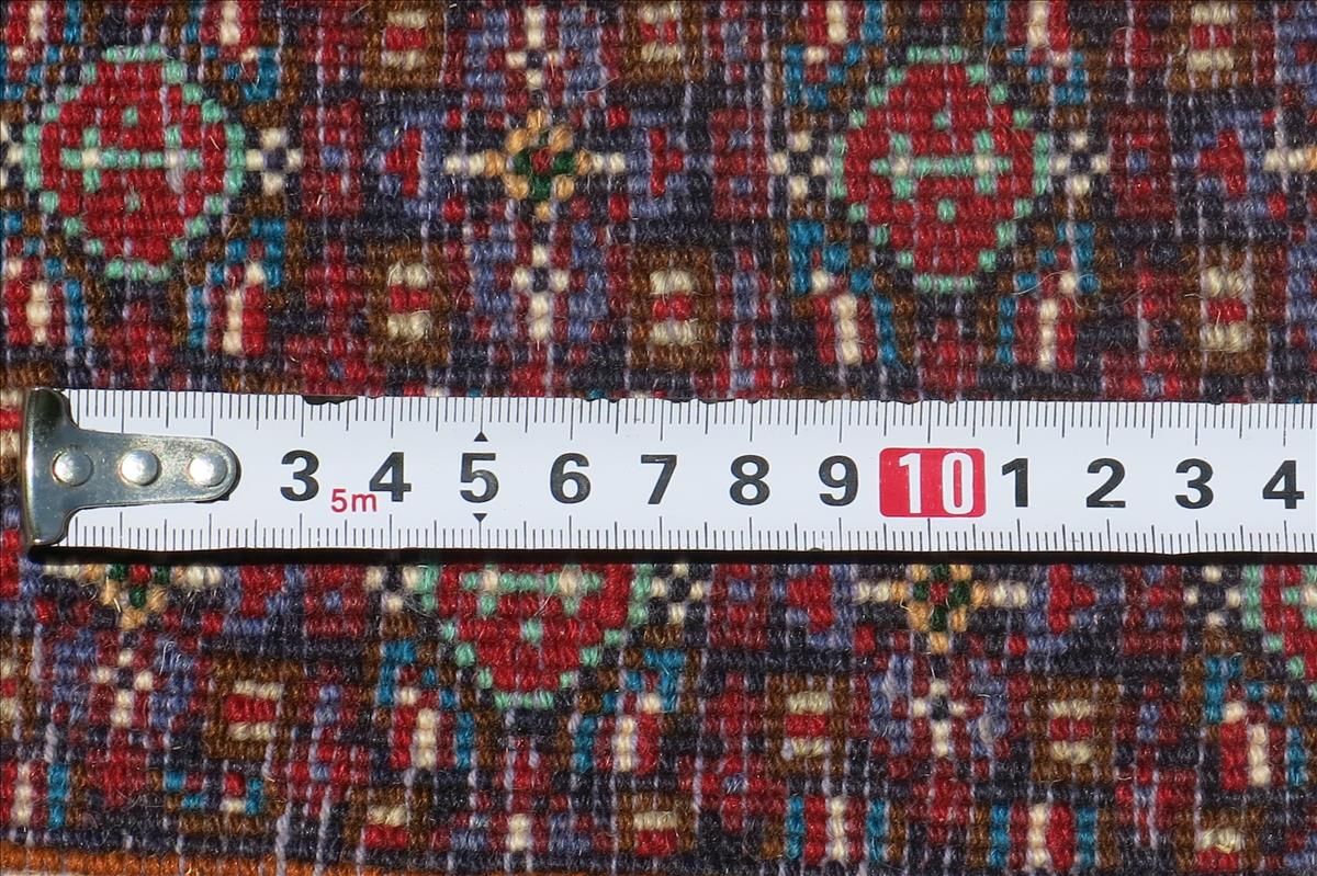 Oriental rug Sanneh