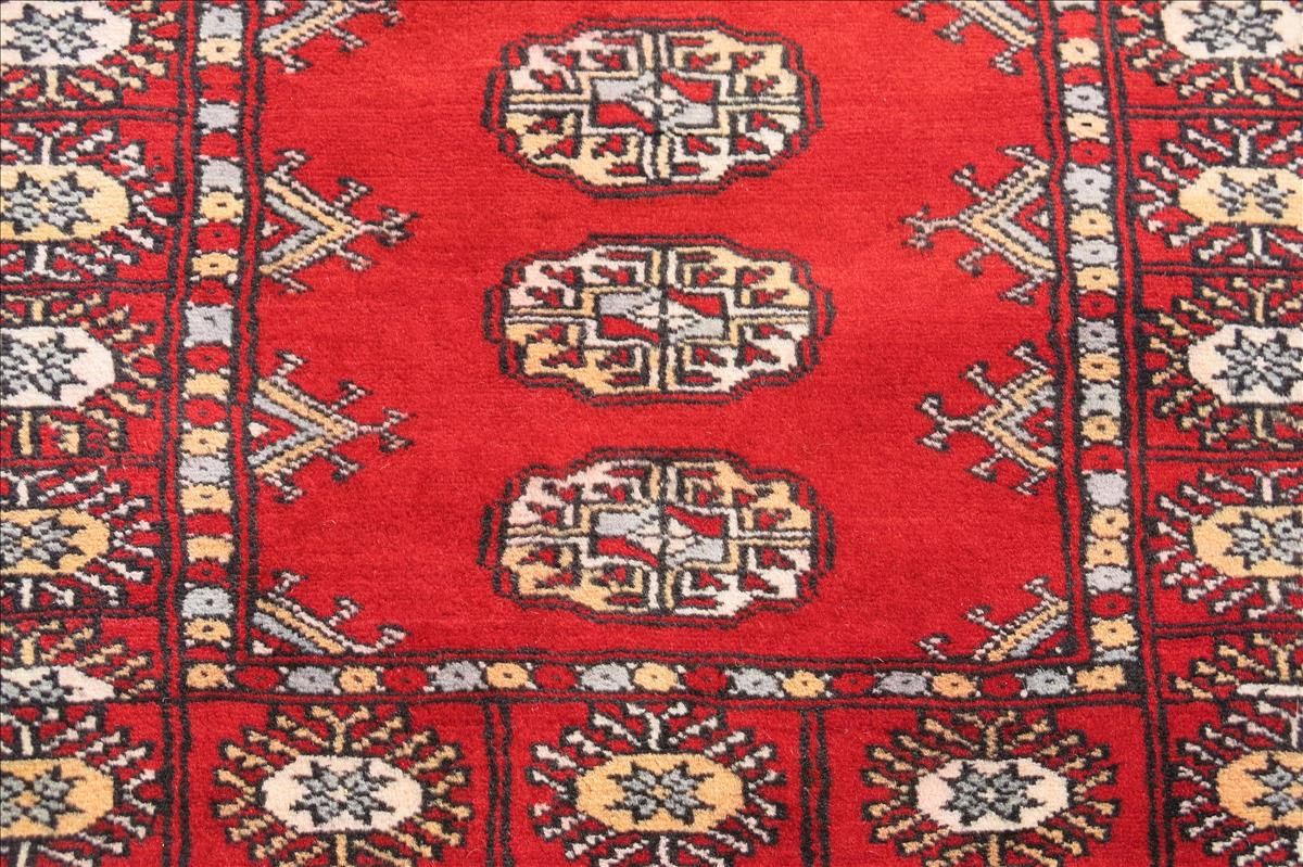 Oriental rug Bukhara Exclusive
