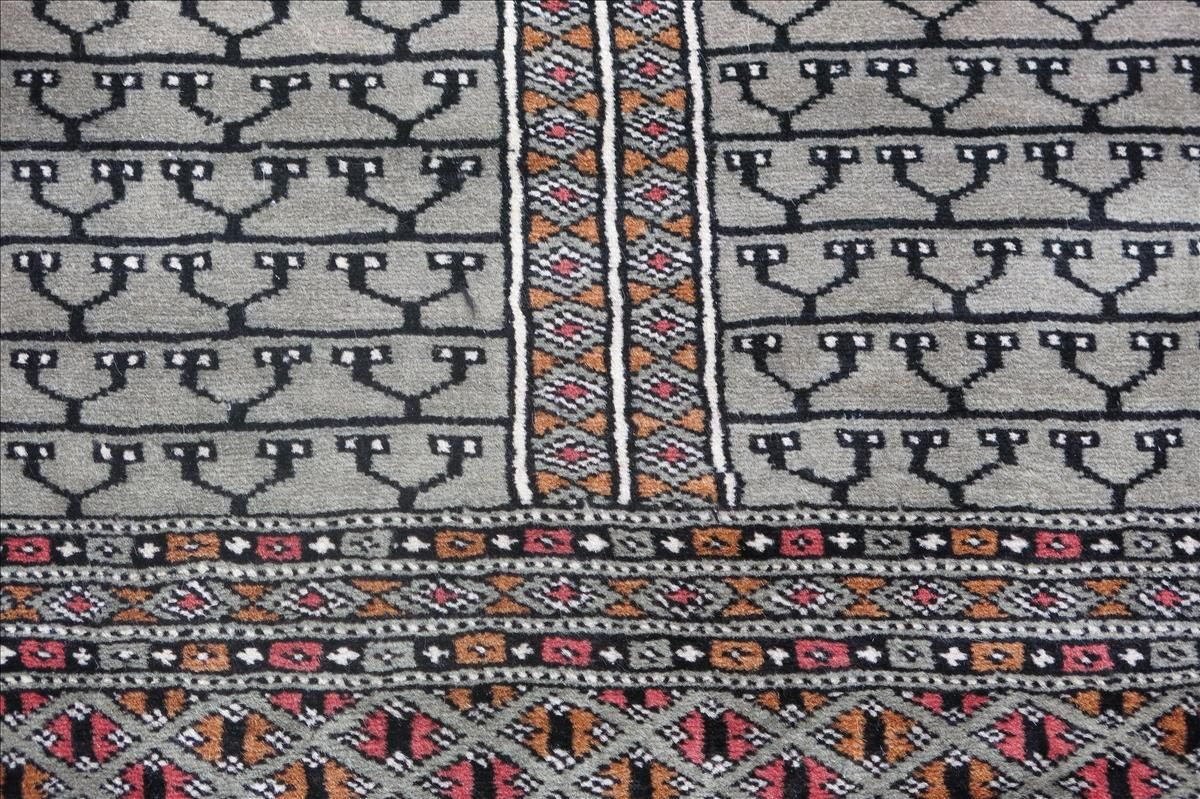Oriental rug Bukhara Exclusive