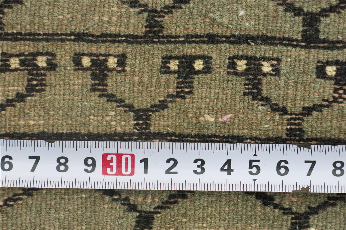 Oriental rug Bukhara Exclusive