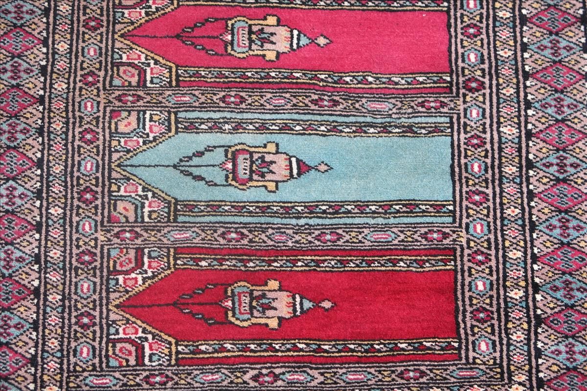 Oriental rug Bukhara Exclusive