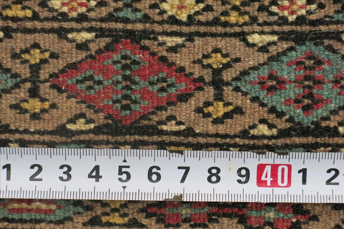 Oriental rug Bukhara Exclusive