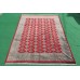 Rug Jaldar Exclusive