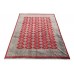 Rug Jaldar Exclusive