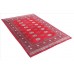 Oriental rug Bukhara Exclusive