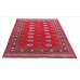 Oriental rug Bukhara Exclusive