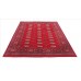 Oriental rug Bukhara Exclusive