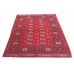Oriental rug Bukhara Exclusive