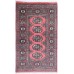 Oriental rug Bukhara Exclusive