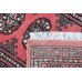 Oriental rug Bukhara Exclusive