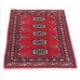 Oriental rug Bukhara Exclusive