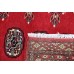 Oriental rug Bukhara Exclusive