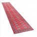 Oriental rug Bukhara Exclusive