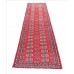 Oriental rug Bukhara Exclusive