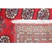 Oriental rug Bukhara Exclusive