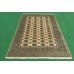 Oriental rug Bukhara Exclusive