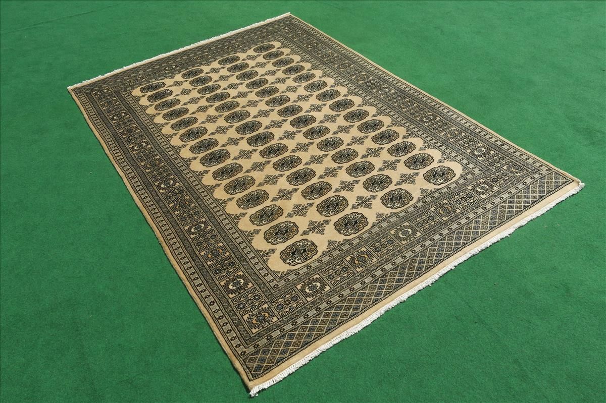 Oriental rug Bukhara Exclusive