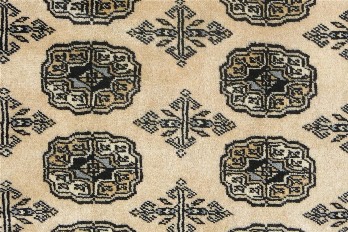 Oriental rug Bukhara Exclusive