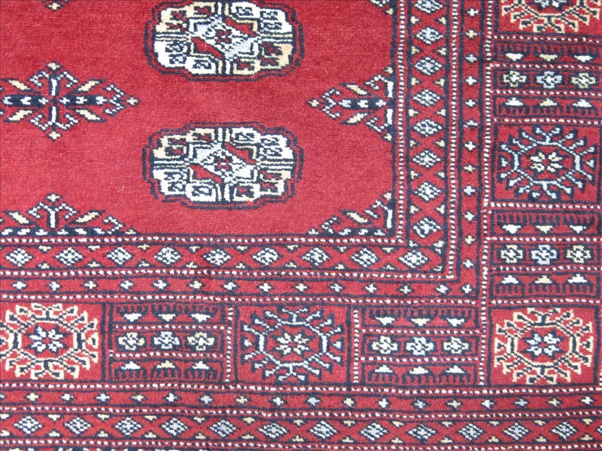 Oriental rug Bukhara Exclusive