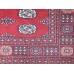 Oriental rug Bukhara Exclusive