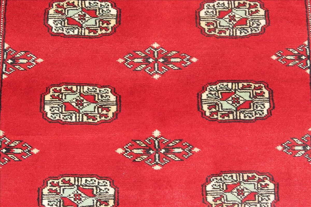 Oriental rug Bukhara Exclusive