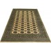 Oriental rug Bukhara Exclusive